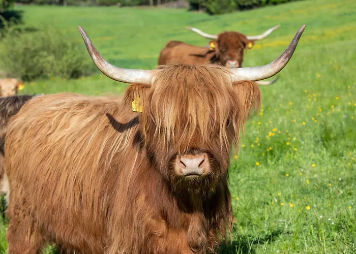 アパート Kagerer